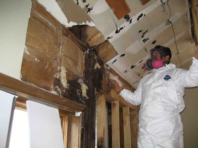 Inspection of moldy room